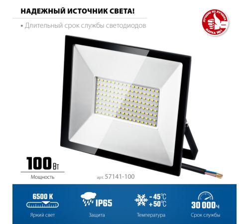 ЗУБР ПСК-100, 100 Вт, 6500 К, IP 65, светодиодный прожектор, Профессионал (57141-100)