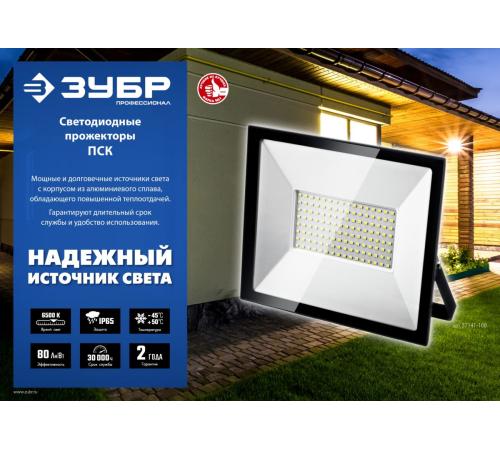 ЗУБР ПСК 50х2, 2 х 50 Вт, 6500 К, IP 65, 1.6 м, светодиодные прожекторы на штативе, Профессионал (57145-2-50)
