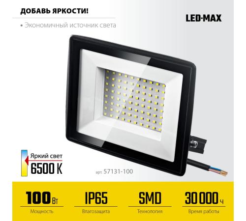 STAYER LED-MAX, 100 Вт, 6500K, IP 65, светодиодный прожектор (57131-100)