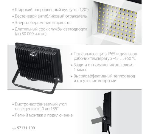 STAYER LED-MAX, 100 Вт, 6500K, IP 65, светодиодный прожектор (57131-100)