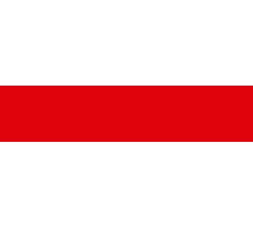 ЗУБР 50 мм, 25 м, красная, разметочная клейкая лента, Профессионал (12244-50-25)