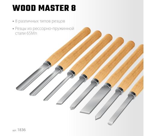STAYER Wood Master, 8 предм., набор ручных резцов по дереву, Professional (1836)