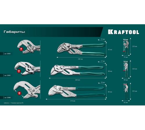KRAFTOOL Vise-Wrench, 250 мм, клещи переставные-гаечный ключ (22065)