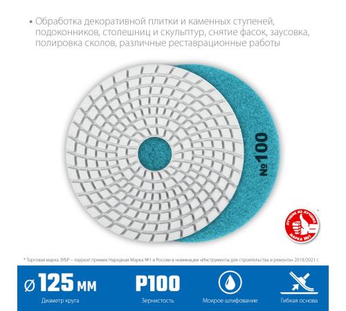 ЗУБР 125 мм, №100, мокрое шлифование, алмазный гибкий шлифовальный круг АГШК, Профессионал (29867-100)