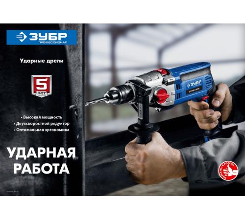 ЗУБР 850 Вт, 13 мм, 2 скорости, ударная дрель, мет. корпус, кейс, Профессионал (ДУ-П850 ЭРМ)