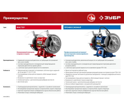 ЗУБР d 150, 300 Вт, заточной станок, Профессионал (ПСТ-150)