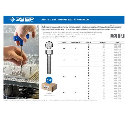 ЗУБР DIN 912, кл. пр. 8.8, М12 х 50 мм, цинк, 5 кг, винт с внутренним шестигранником, Профессионал (30318-12-050)