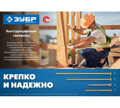 ЗУБР СПК, 35 х 5 мм, TX20, цинк 250 шт (0,75 кг.), саморез для перфорированного крепежа, Профессионал (30061-50-35)